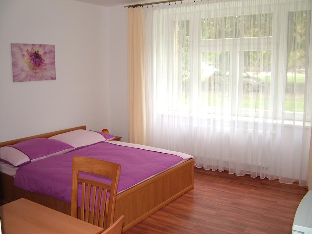 Penzion Rafael Podebrady Ruang foto