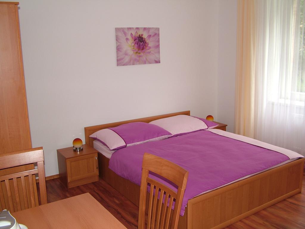 Penzion Rafael Podebrady Ruang foto